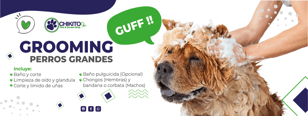 Grooming banner 1